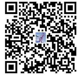 支付宝 支付宝